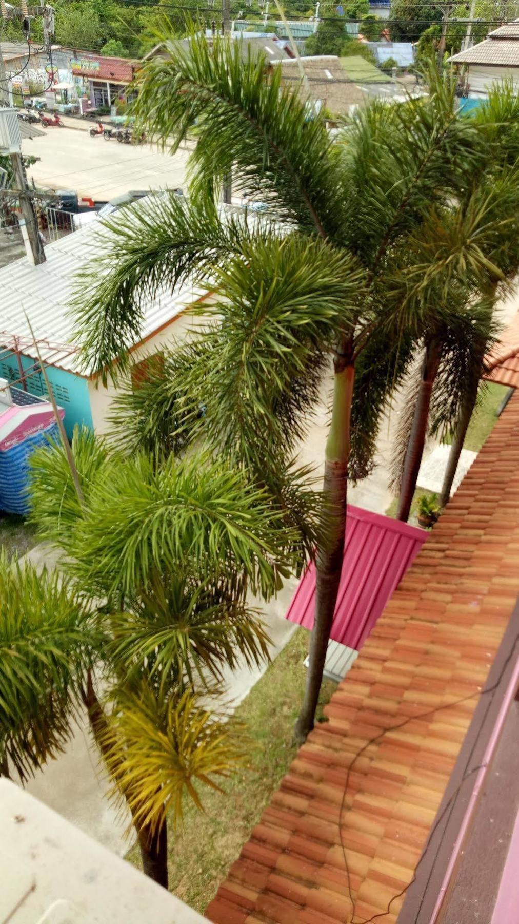 Hotel Lanta Sweet Mansion Ko Lanta Exterior foto